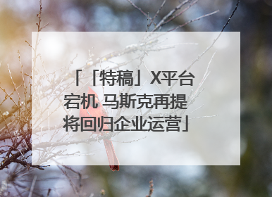 「特稿」X平台宕机 马斯克再提将回归企业运营