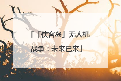 「侠客岛」无人机战争：未来已来