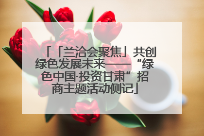 「兰洽会聚焦」共创绿色发展未来——“绿色中国·投资甘肃”招商主题活动侧记