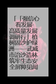 「强信心 看发展·高质量发展调研行」植树固沙护绿洲——武威市治沙造林筑牢生态安全屏障见闻