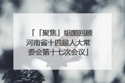 「聚焦」组图回顾河南省十四届人大常委会第十七次会议