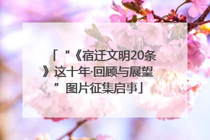 “《宿迁文明20条》这十年·回顾与展望”图片征集启事