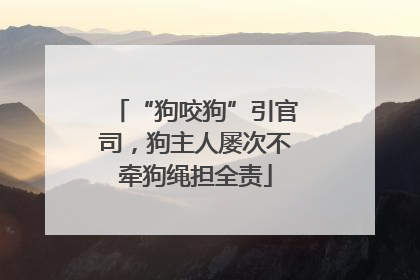 “狗咬狗”引官司，狗主人屡次不牵狗绳担全责