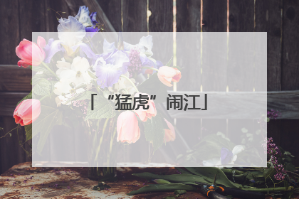 “猛虎”闹江