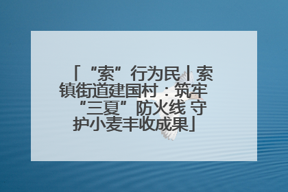 “索”行为民丨索镇街道建国村：筑牢“三夏”防火线 守护小麦丰收成果