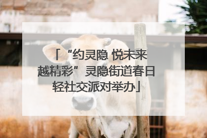 “约灵隐 悦未来 越精彩”灵隐街道春日轻社交派对举办