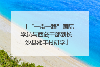 “一带一路”国际学员与西藏干部到长沙县湘丰村研学