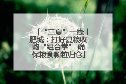 “三夏”一线丨肥城：打好夏粮收购“组合拳” 确保粮食颗粒归仓
