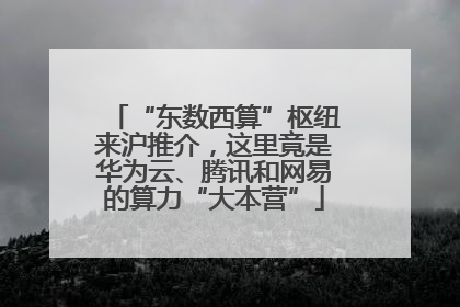 “东数西算”枢纽来沪推介，这里竟是华为云、腾讯和网易的算力“大本营”