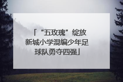“五玫瑰”绽放 新城小学混编少年足球队勇夺四强