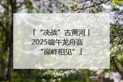 “决战”古黄河丨2025端午龙舟赛“巅峰相见”