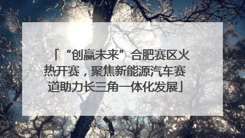 “创赢未来”合肥赛区火热开赛，聚焦新能源汽车赛道助力长三角一体化发展