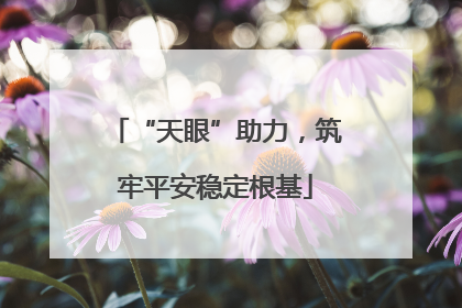 “天眼”助力，筑牢平安稳定根基