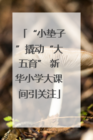 “小垫子”撬动“大五育” 新华小学大课间引关注