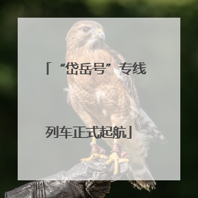 “岱岳号”专线列车正式起航