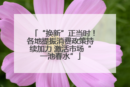 “换新”正当时！各地提振消费政策持续加力 激活市场“一池春水”