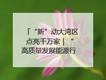 “新”动大湾区 点亮千万家｜“高质量发展能源行”系列报道③