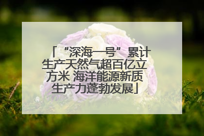 “深海一号”累计生产天然气超百亿立方米 海洋能源新质生产力蓬勃发展