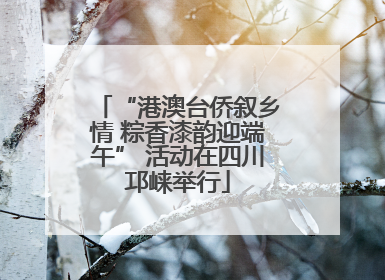 “港澳台侨叙乡情 粽香漆韵迎端午” 活动在四川邛崃举行