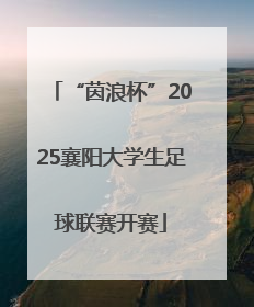 “茵浪杯”2025襄阳大学生足球联赛开赛