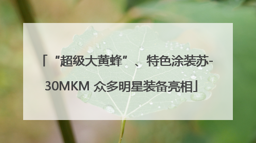 “超级大黄蜂”、特色涂装苏-30MKM 众多明星装备亮相