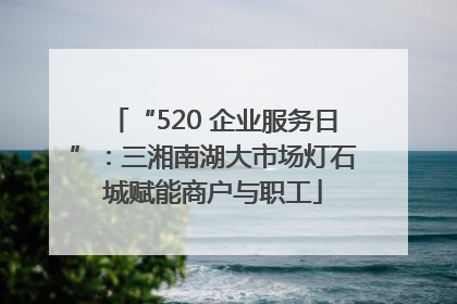 “520 企业服务日”：三湘南湖大市场灯石城赋能商户与职工