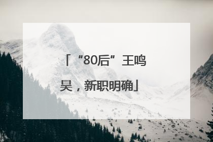 “80后”王鸣昊，新职明确