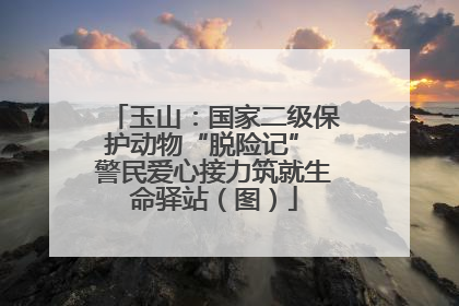 玉山：国家二级保护动物“脱险记” 警民爱心接力筑就生命驿站（图）