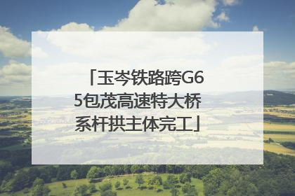 玉岑铁路跨G65包茂高速特大桥系杆拱主体完工
