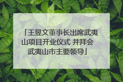 王昱文董事长出席武夷山项目开业仪式 并拜会武夷山市主要领导