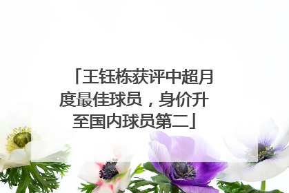 王钰栋获评中超月度最佳球员，身价升至国内球员第二