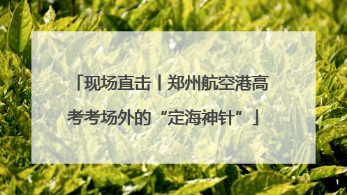 现场直击丨郑州航空港高考考场外的“定海神针”