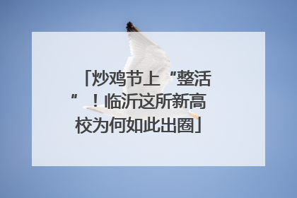 炒鸡节上“整活”！临沂这所新高校为何如此出圈