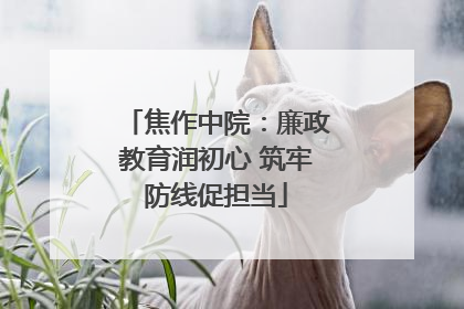 焦作中院：廉政教育润初心 筑牢防线促担当