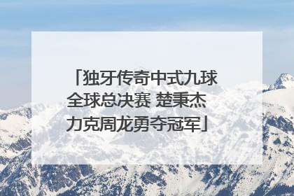 独牙传奇中式九球全球总决赛 楚秉杰力克周龙勇夺冠军