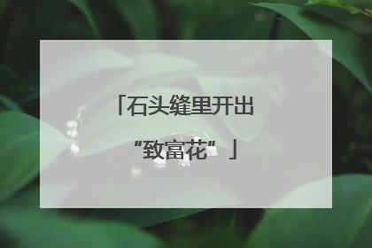 石头缝里开出“致富花”