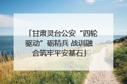 甘肃灵台公安“四轮驱动”砺精兵 战训融合筑牢平安基石