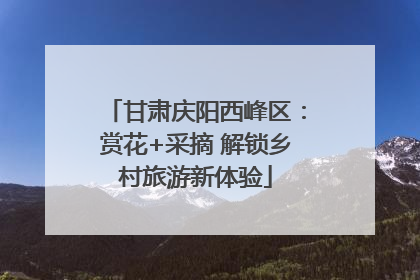 甘肃庆阳西峰区：赏花+采摘 解锁乡村旅游新体验