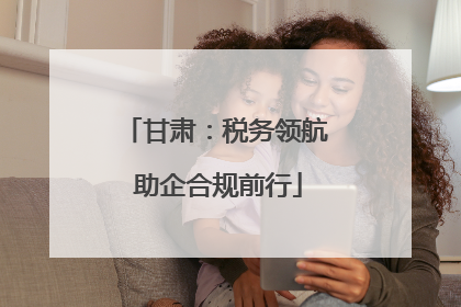 甘肃：税务领航 助企合规前行
