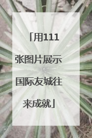 用111张图片展示国际友城往来成就