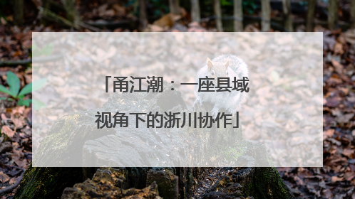 甬江潮：一座县域视角下的浙川协作