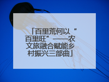 百里荒何以“百里旺”——农文旅融合赋能乡村振兴三部曲