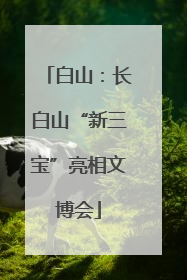 白山：长白山“新三宝”亮相文博会