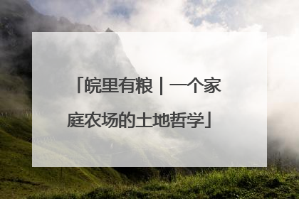 皖里有粮｜一个家庭农场的土地哲学