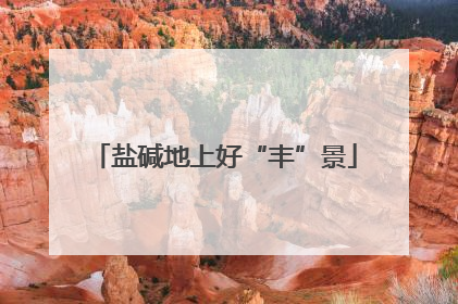 盐碱地上好“丰”景