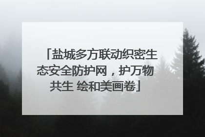 盐城多方联动织密生态安全防护网，护万物共生 绘和美画卷