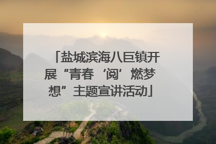 盐城滨海八巨镇开展“青春‘阅’燃梦想”主题宣讲活动