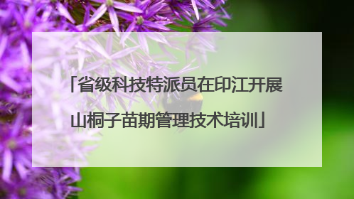 省级科技特派员在印江开展山桐子苗期管理技术培训