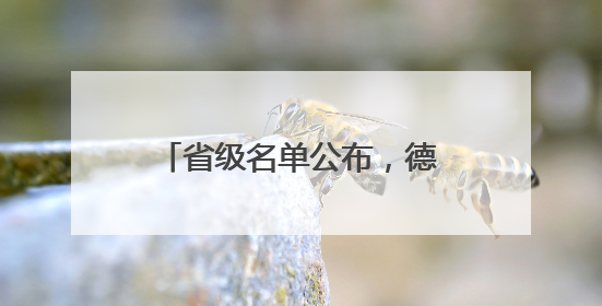 省级名单公布，德州2个项目上榜！