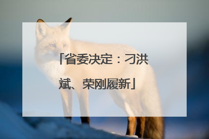 省委决定：刁洪斌、荣刚履新